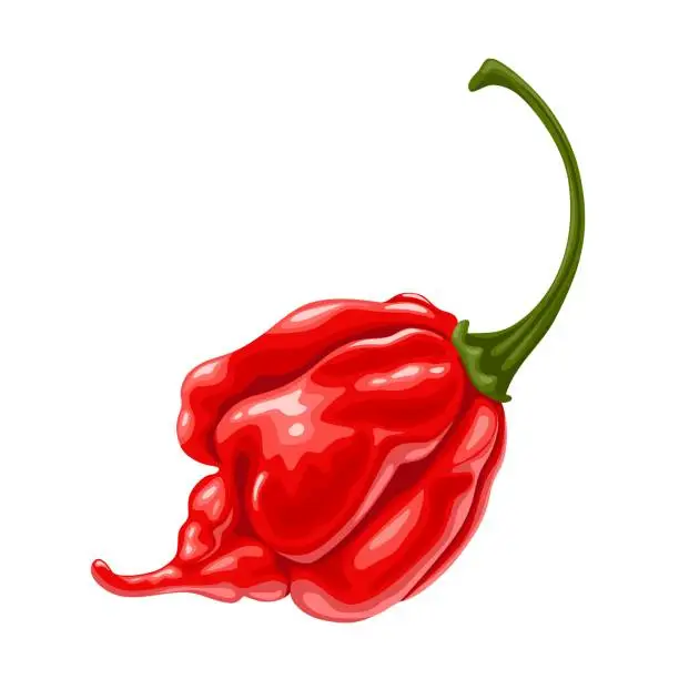 Vector illustration of Scorpion pepper