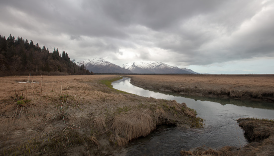 Forked stream near Chinitna Bay Alaska United States