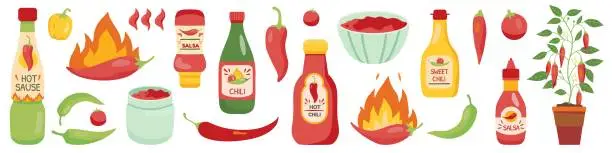 Vector illustration of Hot sauces. Spicy seasoning. Burning red pepper. Salsa bottles or bowls. Cooking ingredient. Jalapeno and cayenne. Mexican cuisine. Isolated tomato and paprika. Vector chili spices set