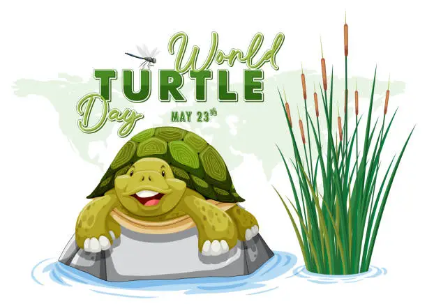 Vector illustration of Happy turtle in water with World Turtle Day text