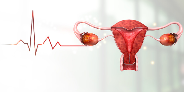 Uterus in scientific background. 3d illustration
