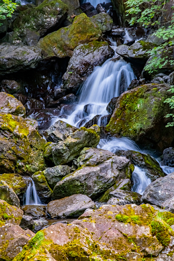 A small cascade waterfall flowing through moss covered rocks and green foliage.