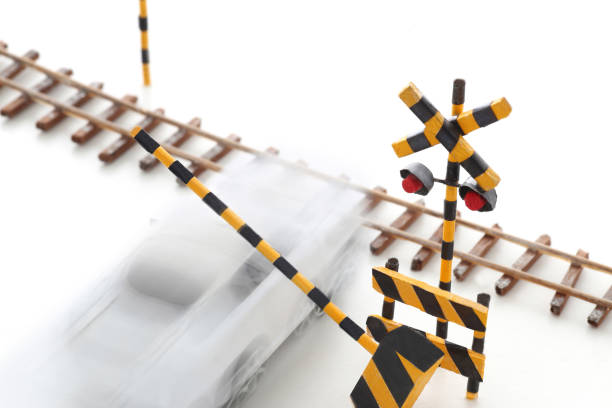 Train of the Nederlandse Spoorwegen (NS) driving past a railway crossing with closed barriers and audio visueal signals.