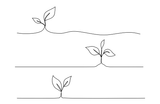 One continuous line growing sprout set. Hand drawn doodle line art plant