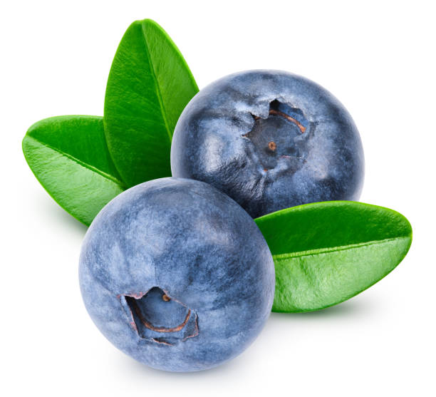 istock Fresh organic blueberry with leaves 2062509315
