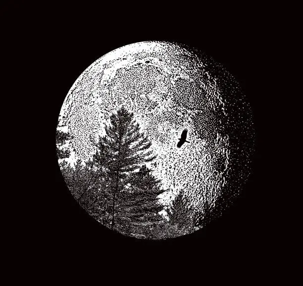 Vector illustration of Full moon and pine trees