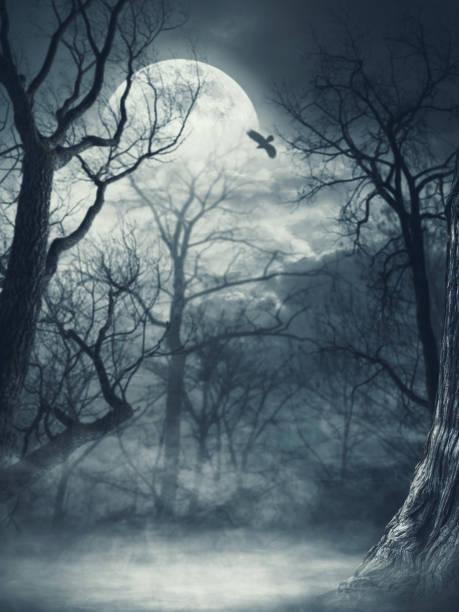 istock Scary dry trees and moon: horror background 2062531943