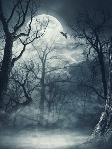 Dry trees in the misty forest and full moon in the sky at night, horror background