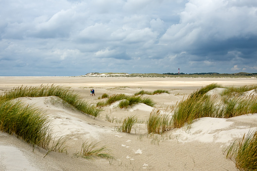 Beautiful view of landscape with sand dunes and marram grass at tranquil beach against blue sky during sunny day at Denmark
