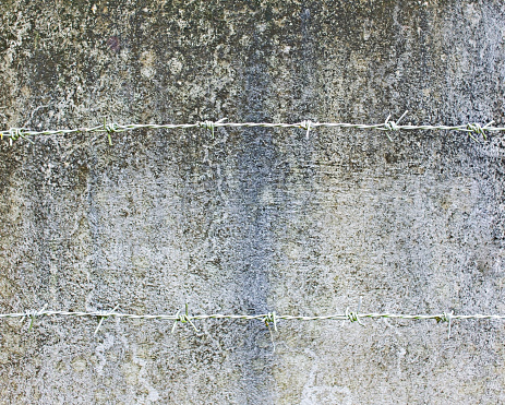 Barbed wire on a smooth concrete background.