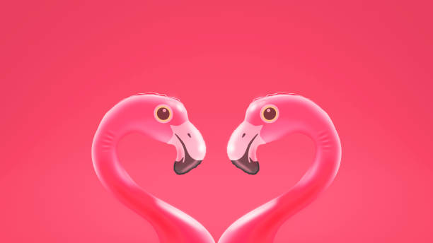 istock Cute loving inflatable flamingos looking at each other 2062542504