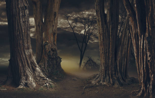 Scary forest with big trees and mist: horror background