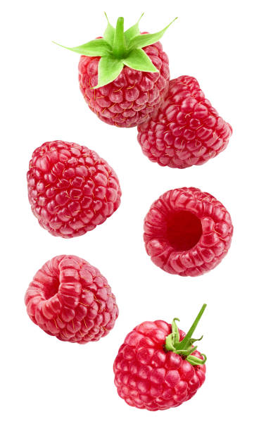 istock Flying ripe raspberries isolated on white background 2062553221