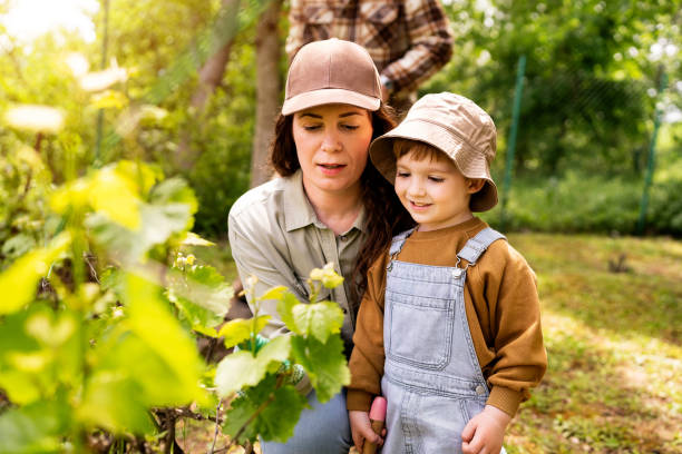 istock Mother and son gardening together 2062565715