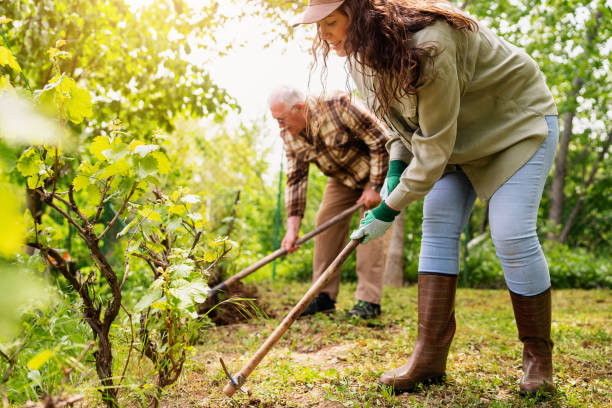 istock Family gardening together 2062565716