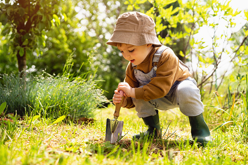Little boy gardening.