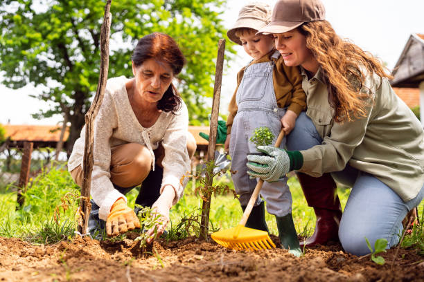 istock Family gardening together 2062566773