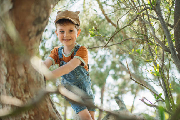 istock Cute little boy enjoying springtime or summer outdoors and climbing a tree in a park 2062587778