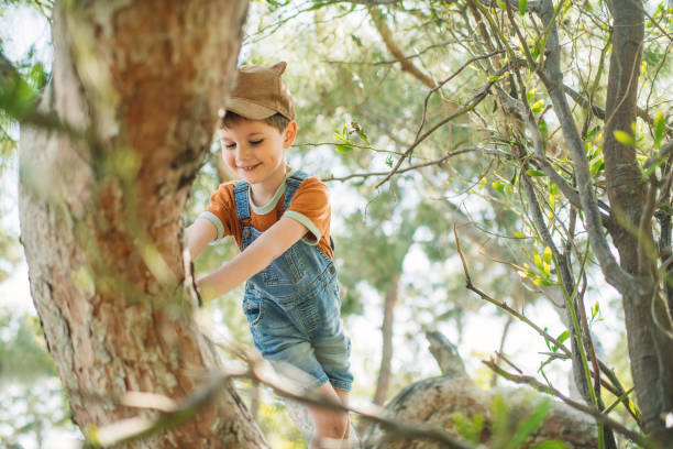 istock Cute little boy enjoying springtime or summer outdoors and climbing a tree in a park 2062587804