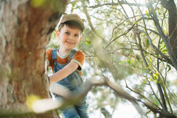 istock Cute little boy enjoying springtime or summer outdoors and climbing a tree in a park 2062588315