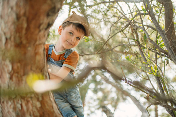 istock Cute little boy enjoying springtime or summer outdoors and climbing a tree in a park 2062588345