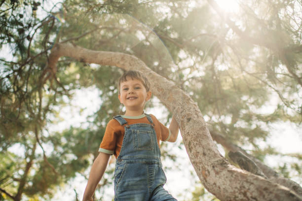 Little boy hanging from a branch of a tree outdoors.