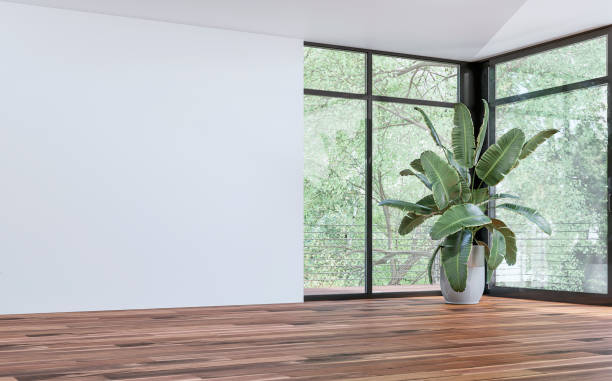 istock Empty unfurnished modern interior with a large potted plant (strelitzia Nicolai) in front of large corner windows with garden view and balcony, a blank white wall on the other side 2062589423