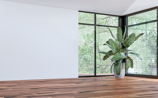 Empty unfurnished modern interior with a large potted plant (strelitzia Nicolai) on parquet hardwood floor in front of large corner windows with garden view and a balcony with a stainless steel fence, a blank white wall background on the other side. 3D rendered image.