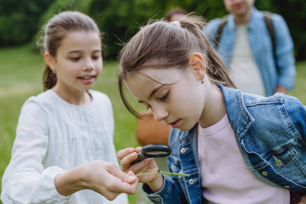istock Sisters looking at ladybug, insect on meadow, using magnifying glass. Young family on walk during warm spring day. Concept of family bonding. 2062593170