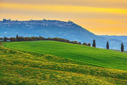 At the gentle onset of dusk, this picturesque scene unfolds in the heart of Tuscany, Italy. The tranquil landscape features rolling hills, bathed in the soft glow of twilight, stretching towards the horizon. In the distance, the medieval hilltop town of Montalcino stands proudly, its historic buildings and towers silhouetted against the fading light.