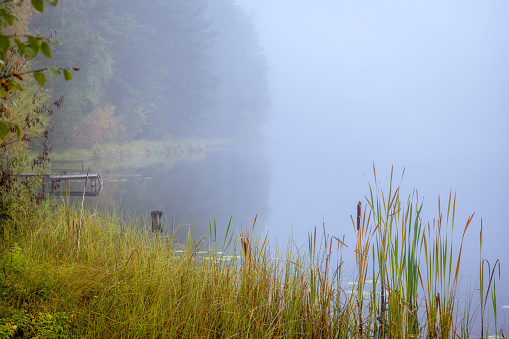 Sunrise at a idyllic lake with calm water and some fog above it and the reflection of the mountains. A loon is leaving. Vorarlberg, Nuziders