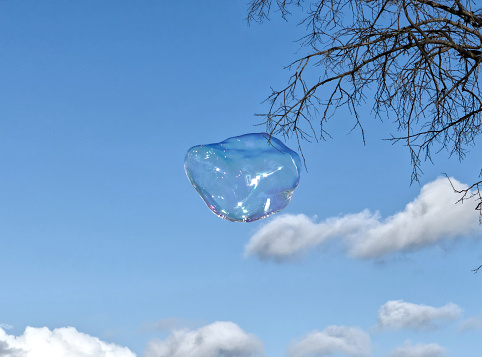 Enteraining bubble floating towards a tree