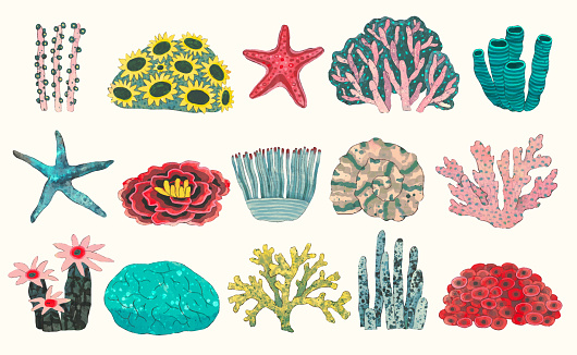 Coral reef. underwater nature vector illustration. watercolor painting.