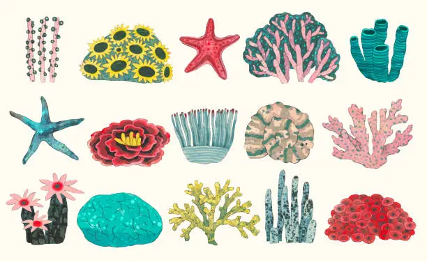 Vector illustration of Coral reef. underwater nature vector illustration. watercolor painting.