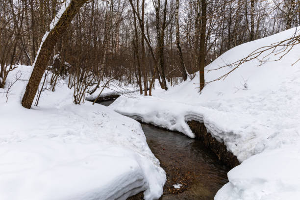istock Stream in the forest in winter. Winter landscape 2062644671