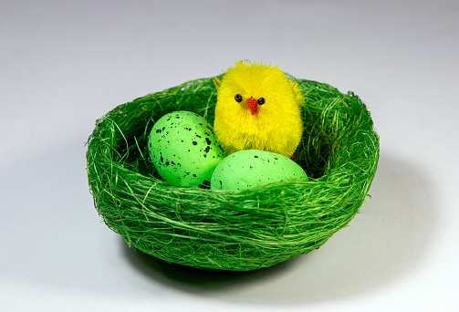A decorative artificial nest with eggs and chicks on a white background. Easter arrangement symbol