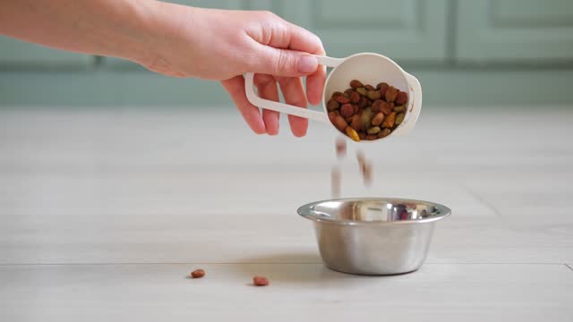 Pet Food pouring. Balanced dog food. Owner female hand is pour dry cat food into a steel gray cat bowl. Dry pet food falls into the bowl on the floor. Pet diet concept. Close-up. Dry animal feed