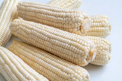 Fresh corn for sale