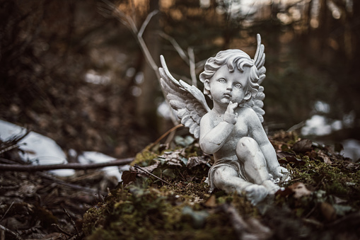 A small angel statue on top of green foliage