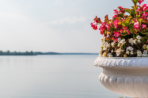 Flowers in an antique vase against the background of a blue sky and smooth water