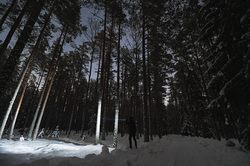 A man with a flashlight in the night forest in winter. High quality photo