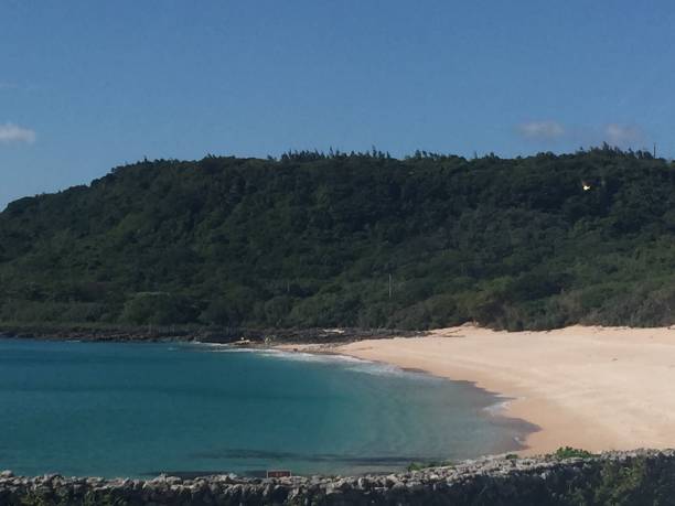 istock a sandy beach near the ocean and some trees with rocks 2062782992