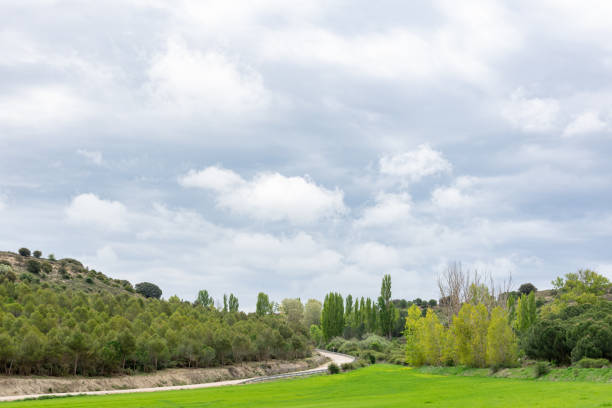 istock Bench on green field surrounded by trees: Castilian landscape in spring 2062785762