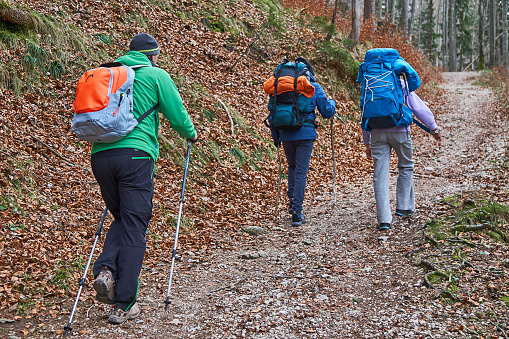 Aschau, Germany - December 29, 2023: Hikers in Chiemgau near Aschau in the forest