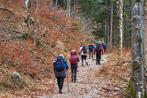 Aschau, Germany - December 29, 2023: Hikers in Chiemgau near Aschau in the forest