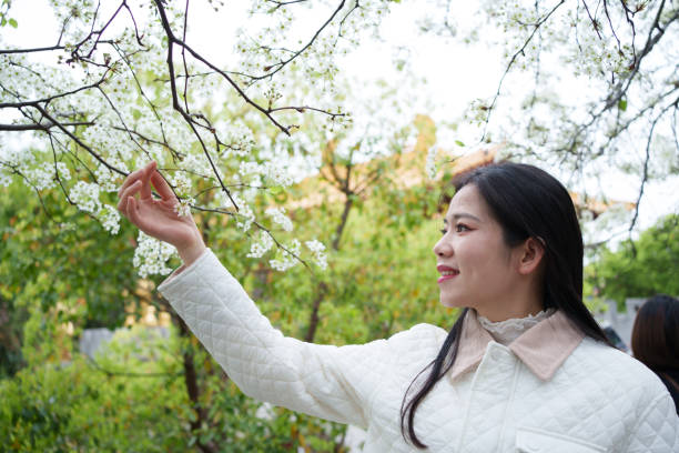 istock woman admiring pear blossoms 2062799002