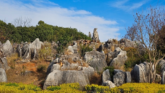 A serene landscape of Shilin Stone Forest located in China