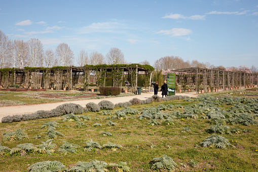 Venaria Reale, Italy - March 29 , 2023: Vegetable garden area with flowerbeds in Reggia di Venaria castle park in spring sunlight