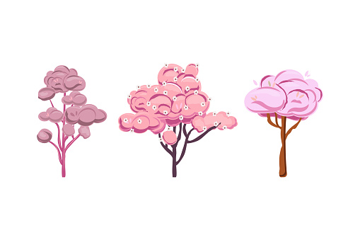 Three pink trees in full bloom. Three pink trees with flowers