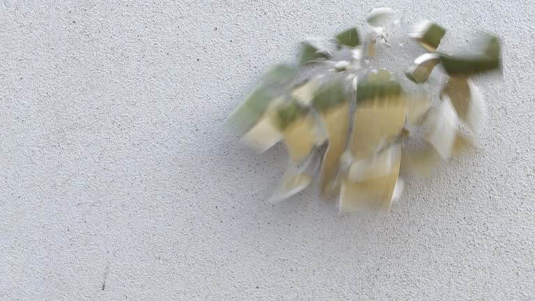 Throwing a brown porcelain cup at the cement wall.